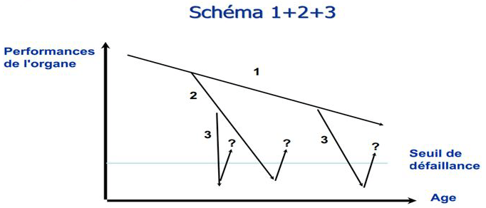 schema 1+2+3