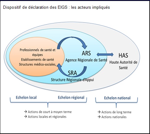 Dispositif de déclaration des EIGS