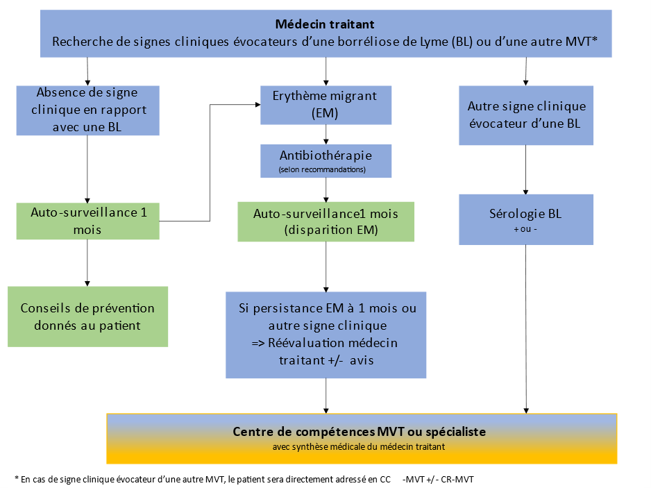 Algorithme du parcours de soins des patients présentant une suspicion de BL en France 2