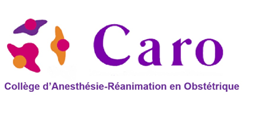 Logo CARO