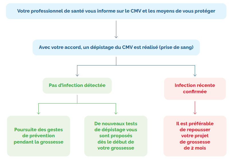 Infographie CMV PROJET GROSSESSE